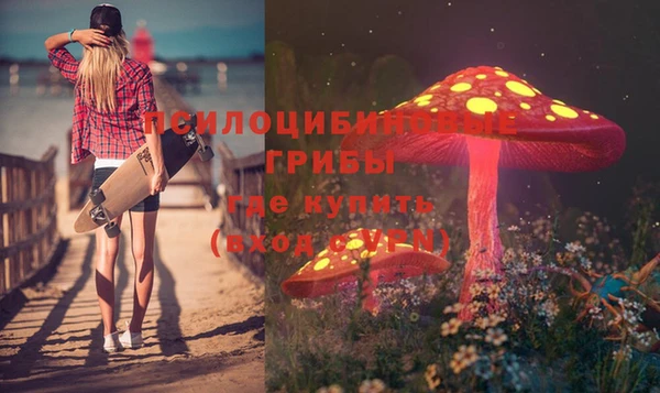 прущая мука Вяземский