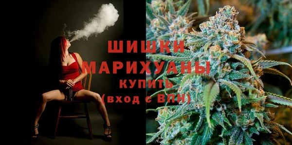прущая мука Вяземский