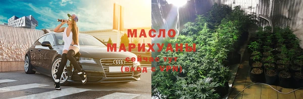 прущая мука Вяземский