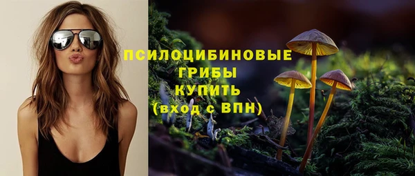спайс Вязники