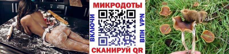 Псилоцибиновые грибы MAGIC MUSHROOMS  Купить где  Мамоново 